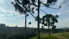 Foto 2 de Fazenda/Sítio à venda, 146000m² em , Rio Rufino