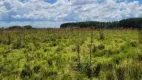 Foto 11 de Fazenda/Sítio à venda, 45000m² em Centro, São Francisco de Paula