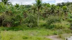 Foto 26 de Fazenda/Sítio com 4 Quartos à venda, 48000000m² em Rio da Areia Bacaxa, Saquarema