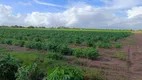 Foto 21 de Fazenda/Sítio com 3 Quartos à venda, 25000m² em Centro, Touros