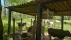 Foto 44 de Fazenda/Sítio com 3 Quartos à venda, 250000m² em Zona Rural, Silvânia