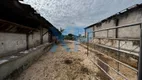 Foto 13 de Fazenda/Sítio com 3 Quartos à venda, 80m² em Zona Rural, Itaguara