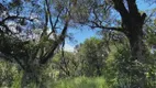 Foto 11 de Fazenda/Sítio à venda em Zona Rural, Urubici