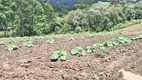 Foto 31 de Fazenda/Sítio com 2 Quartos à venda, 450000m² em Centro, Rio Rufino