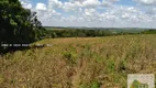 Foto 14 de Fazenda/Sítio com 2 Quartos à venda, 145200000m² em Centro, Cesário Lange