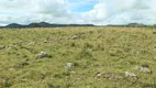 Foto 43 de Imóvel Comercial à venda, 200000m² em Centro, São Joaquim