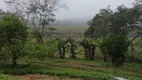 Foto 35 de Fazenda/Sítio com 10 Quartos à venda, 1000m² em Zona Rural, Registro