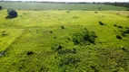 Foto 9 de Fazenda/Sítio com 4 Quartos à venda, 80000m² em , Monte Alegre