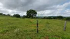 Foto 38 de Fazenda/Sítio com 4 Quartos à venda, 40m² em Centro, Prata