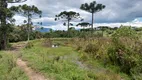 Foto 12 de Fazenda/Sítio à venda, 140000m² em Centro, Alfredo Wagner