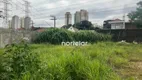 Foto 3 de Lote/Terreno à venda, 325m² em Parque São Domingos, São Paulo