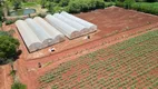 Foto 14 de Fazenda/Sítio com 3 Quartos à venda, 157300m² em Centro, Cesário Lange