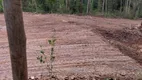 Foto 7 de Fazenda/Sítio à venda, 1000m² em Zona Rural, Uberlândia