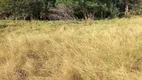 Foto 8 de Fazenda/Sítio à venda, 100m² em Centro, Goiânia