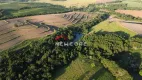 Foto 6 de Fazenda/Sítio com 5 Quartos à venda, 1000m² em Centro, Pardinho