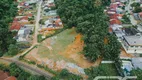 Foto 6 de Lote/Terreno à venda, 3272m² em Parque Guarani, Joinville