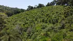 Foto 5 de Fazenda/Sítio com 2 Quartos à venda, 20000m² em Zona Rural, Jacutinga