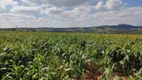 Foto 15 de Fazenda/Sítio com 3 Quartos à venda, 85m² em Zona Rural, Campina do Monte Alegre