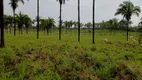 Foto 12 de Fazenda/Sítio à venda em , Penalva