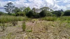 Foto 24 de Lote/Terreno à venda, 96800m² em Rondinha, Campo Largo