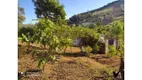 Foto 12 de Casa com 4 Quartos à venda, 2000m² em Centro, Socorro