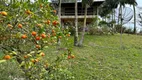 Foto 13 de Fazenda/Sítio com 4 Quartos à venda, 7000m² em Centro, Rodeio