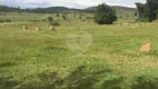 Foto 14 de Lote/Terreno à venda, 800000m² em Moreira César, Pindamonhangaba