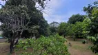 Foto 37 de Fazenda/Sítio com 3 Quartos à venda, 1968m² em Jardim Mimosa, Suzano
