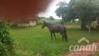 Foto 6 de Fazenda/Sítio à venda, 20000m² em , Serra Azul