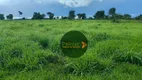 Foto 4 de Fazenda/Sítio à venda, 3630000m² em Zona Rural, Mozarlândia