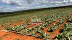 Foto 6 de Prédio Comercial à venda em Zona Rural, Corumbá de Goiás