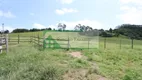 Foto 22 de Fazenda/Sítio com 3 Quartos à venda, 500m² em Zona Rural, Pilar do Sul