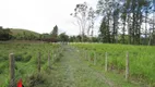 Foto 54 de Fazenda/Sítio com 7 Quartos à venda, 146000m² em Papucaia, Cachoeiras de Macacu