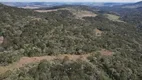 Foto 4 de Fazenda/Sítio à venda em Zona Rural, Painel