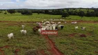 Foto 2 de Fazenda/Sítio à venda em Zona Rural, Barro Alto