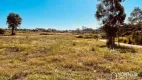 Foto 10 de Lote/Terreno à venda, 2510m² em Zona Rural, Mandaguaçu