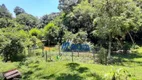 Foto 43 de Fazenda/Sítio com 3 Quartos à venda, 200m² em Bateias, Campo Largo