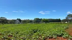 Foto 8 de Lote/Terreno à venda, 20000m² em Zona Rural, Santana de Pirapama