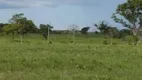 Foto 16 de Fazenda/Sítio à venda, 26600000m² em , Pontal do Araguaia