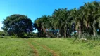 Foto 4 de Fazenda/Sítio à venda, 180m² em , Santa Fé do Sul