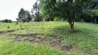 Foto 16 de Fazenda/Sítio com 4 Quartos à venda, 24870m² em Borda do Campo, São José dos Pinhais