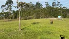 Foto 34 de Fazenda/Sítio com 3 Quartos à venda, 40000m² em Vila Nova, Joinville