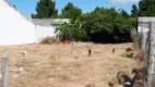Foto 4 de Lote/Terreno para alugar, 420m² em Laranjal, Pelotas