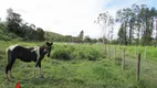 Foto 37 de Fazenda/Sítio com 7 Quartos à venda, 146000m² em Papucaia, Cachoeiras de Macacu