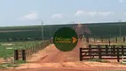 Foto 8 de Fazenda/Sítio à venda, 20240000m² em Zona Rural, Canarana