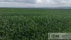 Foto 2 de Lote/Terreno à venda, 58000000m² em Zona Rural, Balsas