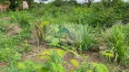 Foto 3 de Fazenda/Sítio à venda, 28000m² em Setor Central, Aparecida do Rio Negro