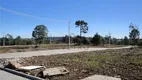 Foto 2 de Lote/Terreno à venda, 250m² em , Canela