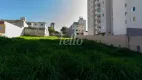 Foto 7 de Lote/Terreno para alugar, 1995m² em Vila Baeta Neves, São Bernardo do Campo