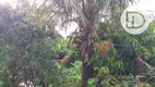 Foto 10 de Fazenda/Sítio com 4 Quartos à venda, 272m² em Jardim Florido, Vinhedo